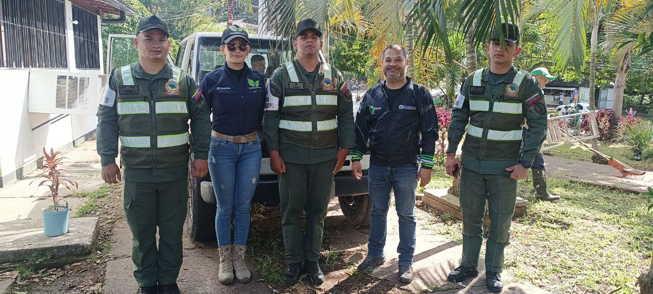 photo_4969869592540941118_y